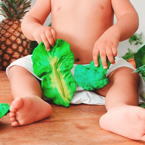 Kendall new arrivals kale teether